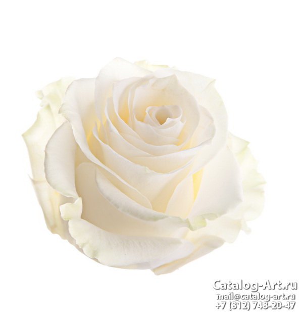 Натяжные потолки с фотопечатью - Белые розы 54